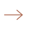 expertives icon go